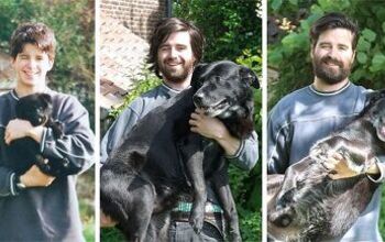 10 Dogs Growing Up With Their Human Siblings