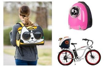 3 Adventurous Travel Carriers for Hip Pets