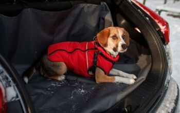 Best Cargo Liner