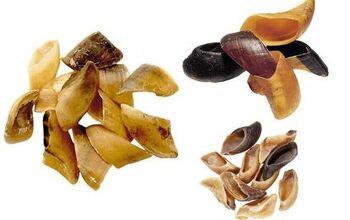 Best Cow Hooves for Dogs