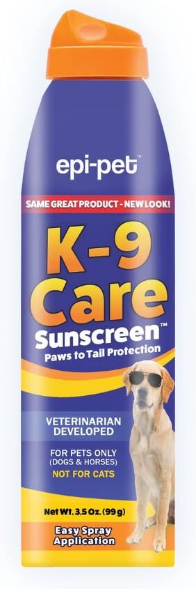 can dogs get a sunburn
