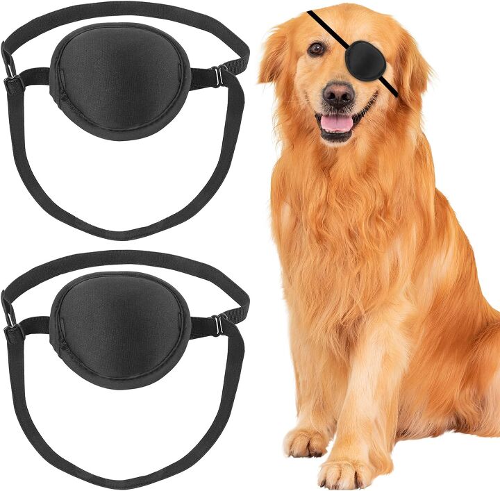 can dogs get pink eye