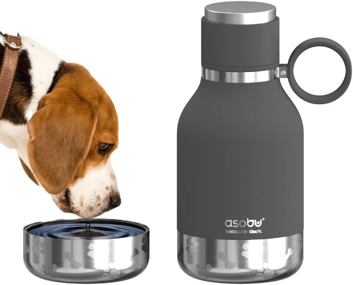 how much water should my dog drink daily
