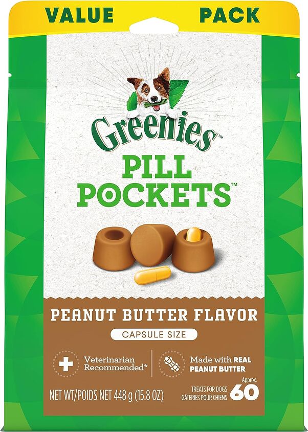 how to get a dog to take a pill