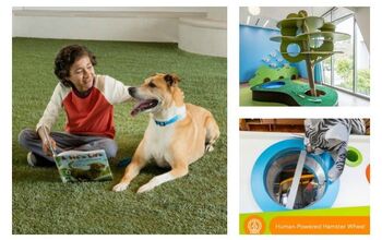 Interactive Pet Adoption Center Isn’t Your Typical Animal Shelter