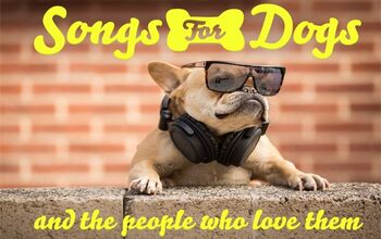 Music That’s Made Just for Dogs Helps Anxiety and Depression