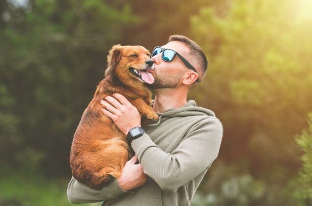 non profit brings together veterans and rescue dogs, Photo credit Creative Cat Studio Shutterstock com