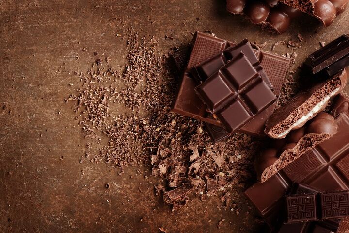 10 foods that are bad for dogs, Chocolate