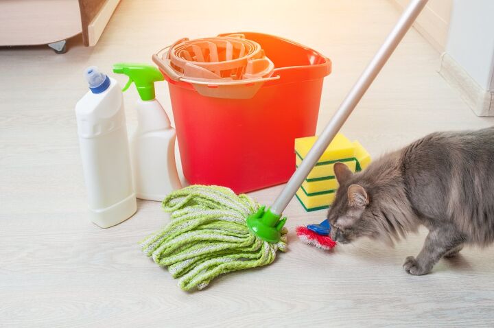 these are the top 10 pet toxins of 2023, Household products
