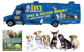 The Lucy Pet Foundation: Spaying And Neutering On The Go