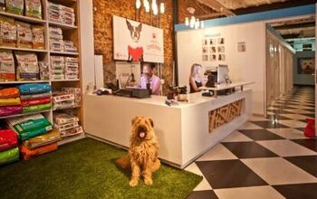 The World’s Biggest Pet Hotel Opened in Cape Town- Take a Look Insid