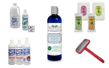 Top 10 Grooming Gifts For Spiffy Dogs