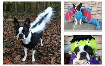 Top 10 Lola B. Boston Looks for Halloween