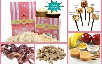 Top 6 Pawsome Dog Treats We’d Totally Try