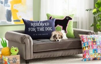 Wayfair Launches Archie &#038; Oscar, A Line of Fab Pet Furniture and 