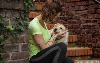 Why Treats Are Beneficial to Your Dog’s Health and Well-Being